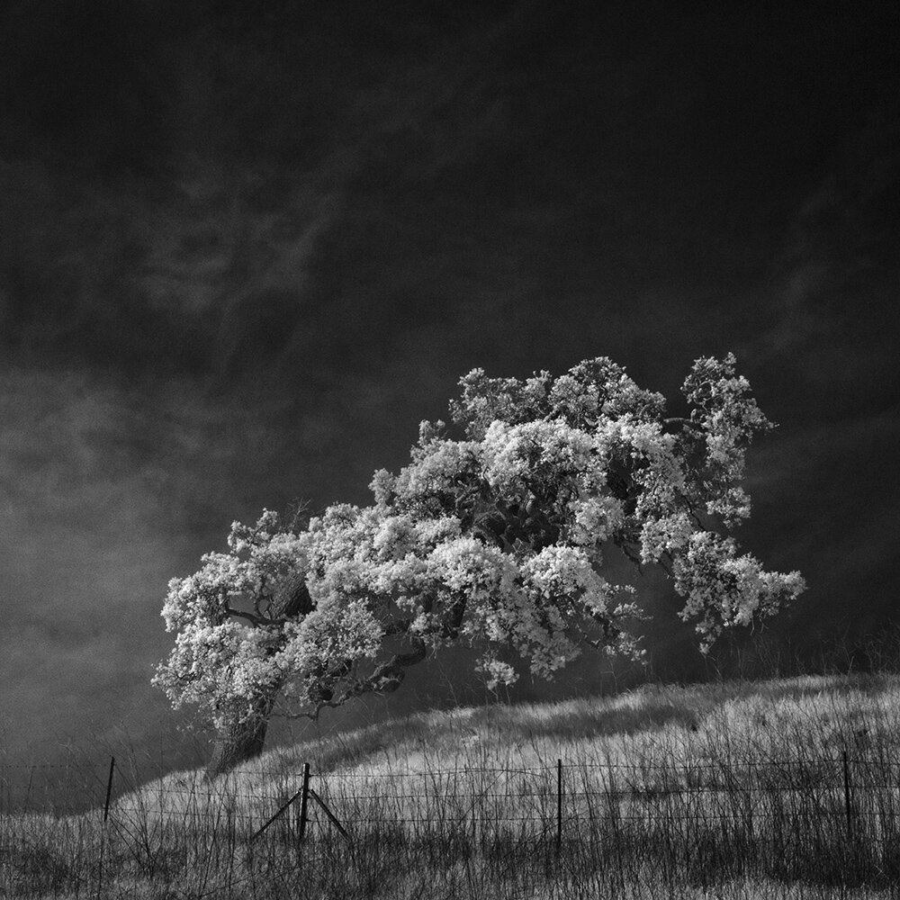 10 Under 10K: Fantastic Black and White Landscape Photographers on Instagram (Premium)